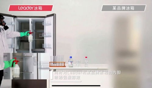 年轻人选择家电品牌指南，品质与性价比的完美结合