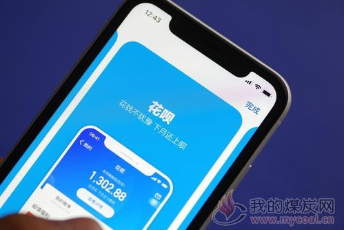 花呗额度提现秘籍，商家如何轻松提现，案例解析与操作指南