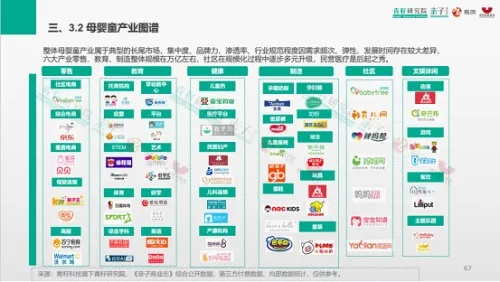 本土母婴品牌崛起之路