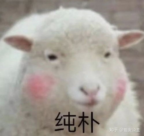 羊小咩便荔卡提现，速度解析与案例分享