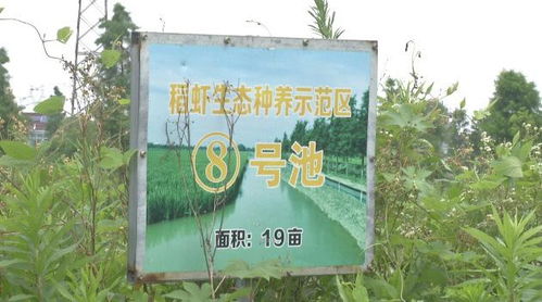 农业致富之路，了解这些，让你离成功更近一步！