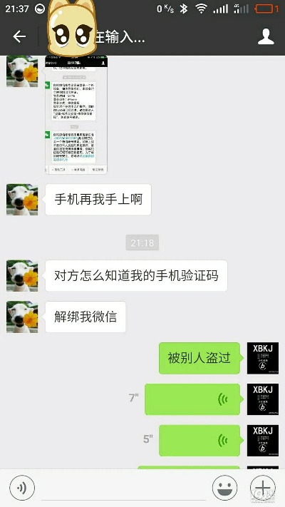揭秘微信聊天记录盗取手段，如何防范与应对