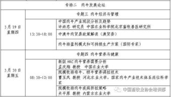 羊小咩便荔卡提现，速度解析及常见问题解答