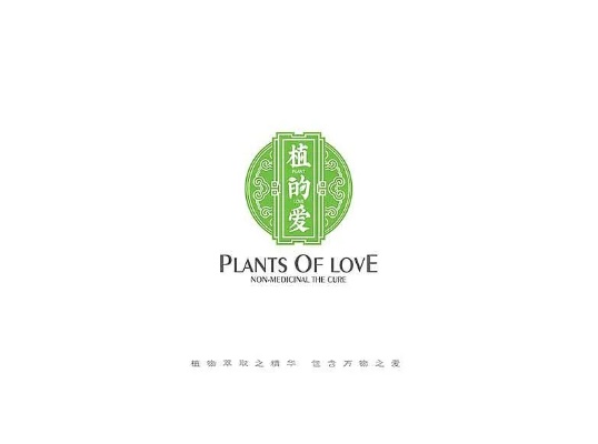 探索中式医药品牌设计理念