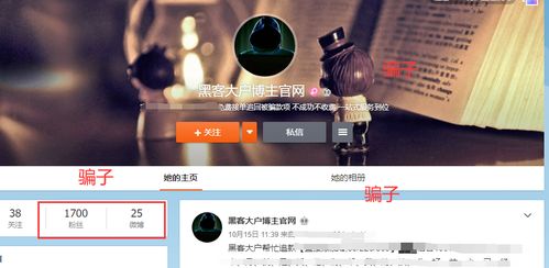 黑客真的能追回钱吗？揭秘网络欺诈背后的真相