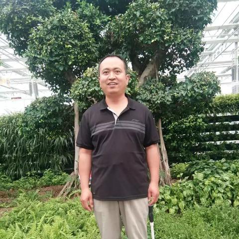 微信聊天记录搬家记，卸载重装前的完美备份攻略
