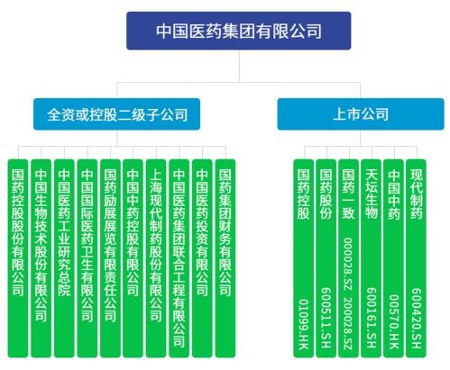 中国医药品牌创建之路—从传统到现代的演变