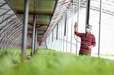 农民靠什么致富好呢？探究农业现代化的多元路径与成功案例