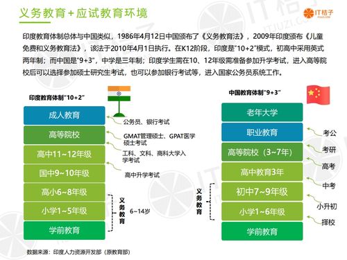 海南自助餐饮加盟市场分析与案例解读