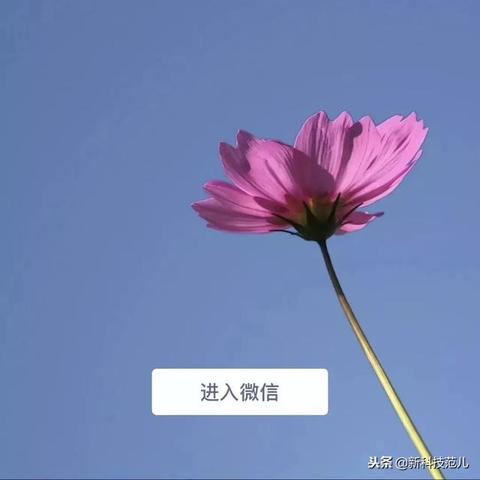 揭秘微信隐私边界，随意查看他人聊天记录和好友名单，你敢吗？