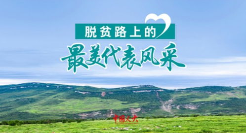 农民致富之路，探索生意新机遇