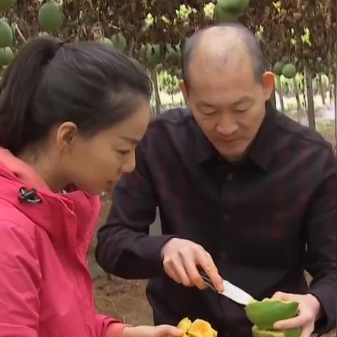 在家学生做什么赚钱多，实践与经验的分享