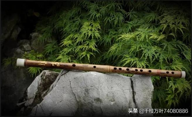音响笛子品牌，探索音乐的户外之旅