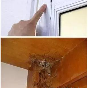 上海木门整体家居品牌精选