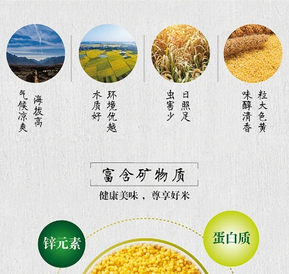 山西品牌健康米厂家电话及联系方式