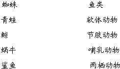 羊小咩便荔卡提现冻结怎么办？全方位解答及案例分析