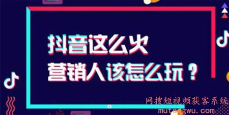 揭秘抖音月付如何巧妙套现商家