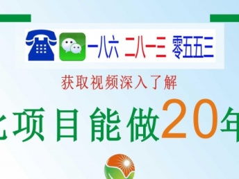 什么生意能发家致富？探索商机与成功案例