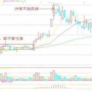 闲置房屋养什么能致富？全面解析与实用案例