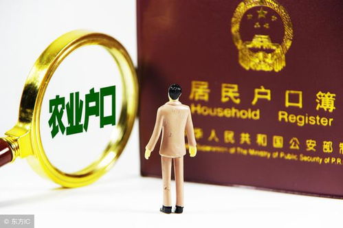 回东北农村做什么工作赚钱？这些机会你绝对不能错过！