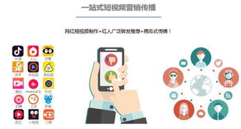 抖音店铺套出来月付，5个点的深度解析与实操案例