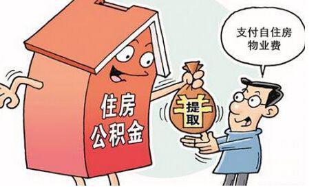 揭秘羊小咩便荔卡提现背后的资金来源之谜