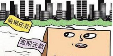 揭秘羊小咩便荔卡提现背后的资金来源之谜
