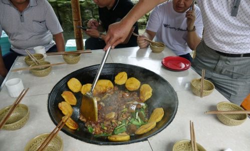 肇庆土灶柴火鸡加盟指南，从入门到精通的全过程解析