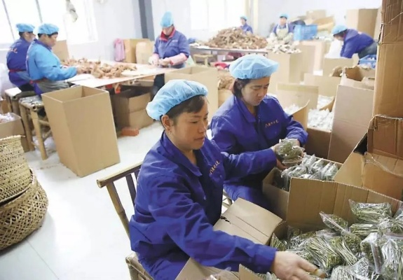 家里加工什么能致富？看这些小项目如何创造财富