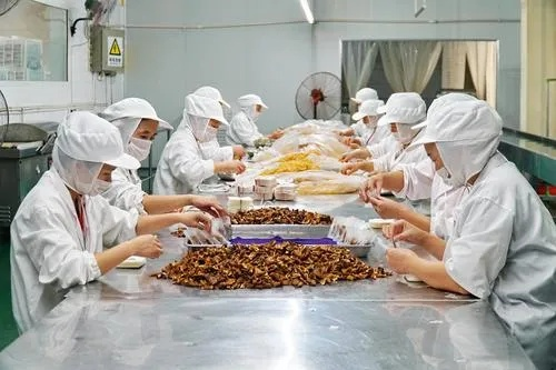 家里加工什么能致富？看这些小项目如何创造财富