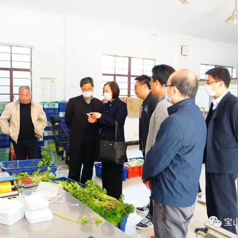 宝山常规家居安装品牌精选