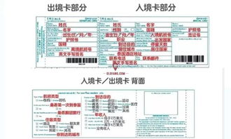 手把手教你查酒店入住记录，流程、注意事项与常见问题全解析