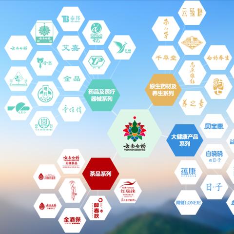 探索中国医药的瑰宝，经典与现代的融合