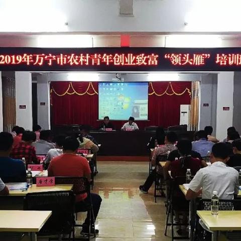 什么都没钱能致富吗？深度解析资金与成功的关系
