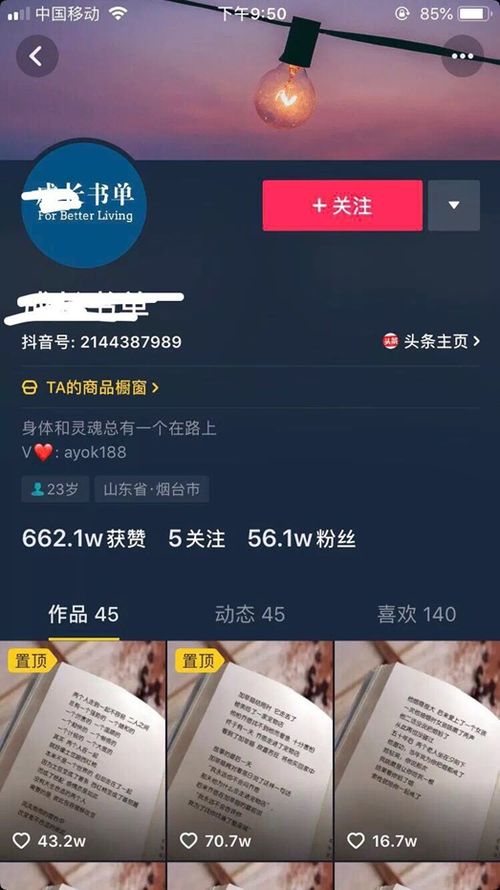 揭秘抖音月付提现网站源码，揭秘背后的秘密与风险