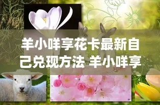 揭秘不支持打羊小咩享花卡怎么套出来的攻略大全