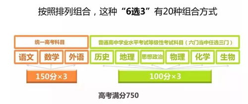 陕西酵颂加盟怎么选？全面解读加盟攻略与策略