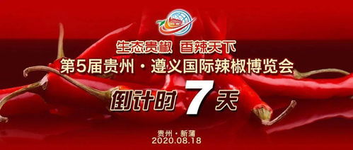 揭秘羊小咩便荔卡提现的团队，高效便捷的金融服务背后的故事