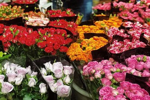 拿花朵做什么生意好卖赚钱？探索花卉市场的无限商机