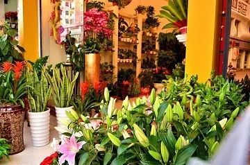 拿花朵做什么生意好卖赚钱？探索花卉市场的无限商机