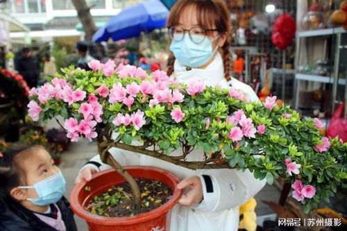 拿花朵做什么生意好卖赚钱？探索花卉市场的无限商机