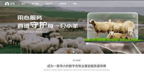 揭秘羊小咩便荔卡提现的商家，真的还是假的？