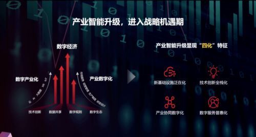 顶级黑客全天24小时接单，数字时代的网络安全挑战与应对之道