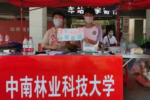 肇庆普洱茶加盟之路，如何开启事业新篇章