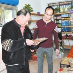 攻坚致富，贫困地区的奋斗之路与成功秘诀