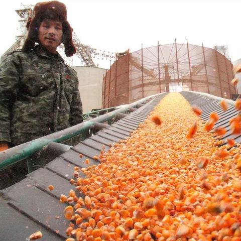 华北农村做什么生意好赚钱？深度解析与案例分享
