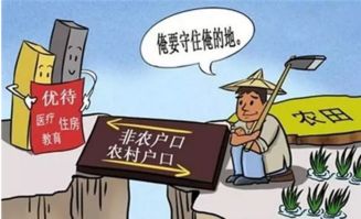 泰安农民如何选择合适的生意赚钱