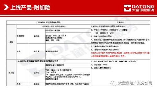 公积金一次性取现全攻略，操作指南与注意事项