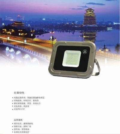 上海户外泛光灯品牌精选与案例解析