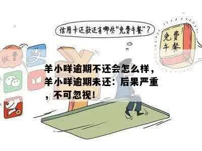 羊小咩的意外分期之旅，不小心取现引发的分期还款风云